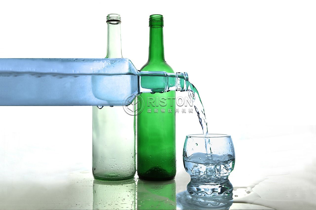 RISTON-espring water treatment system