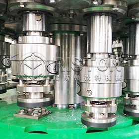 Plastic Bottle Beverage Filling Machine