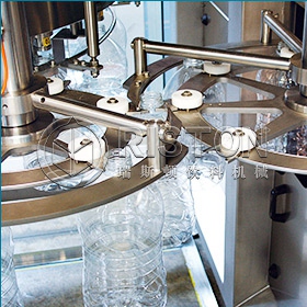 Plastic Bottle Beverage Filling Machine